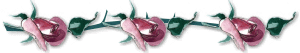 1florabar.gif